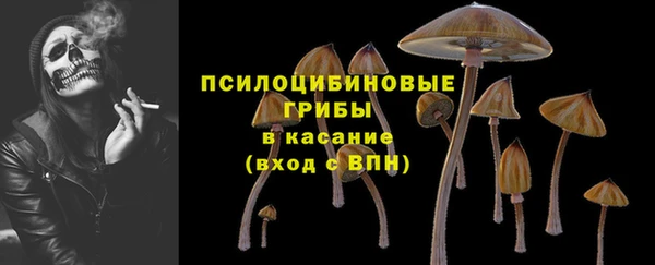 МДПВ Новозыбков