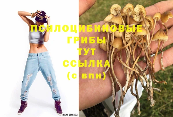 соль ск Новодвинск