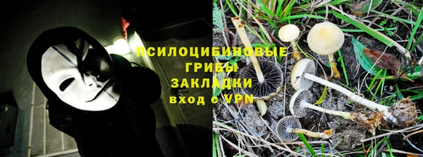 МДПВ Новозыбков
