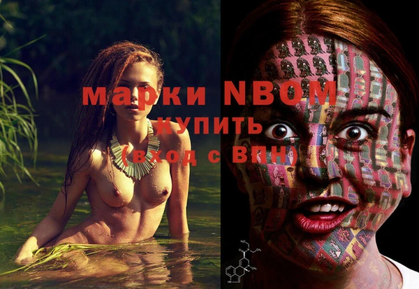 МДПВ Новозыбков