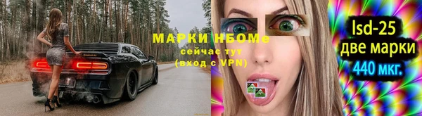ГАЛЛЮЦИНОГЕННЫЕ ГРИБЫ Баксан
